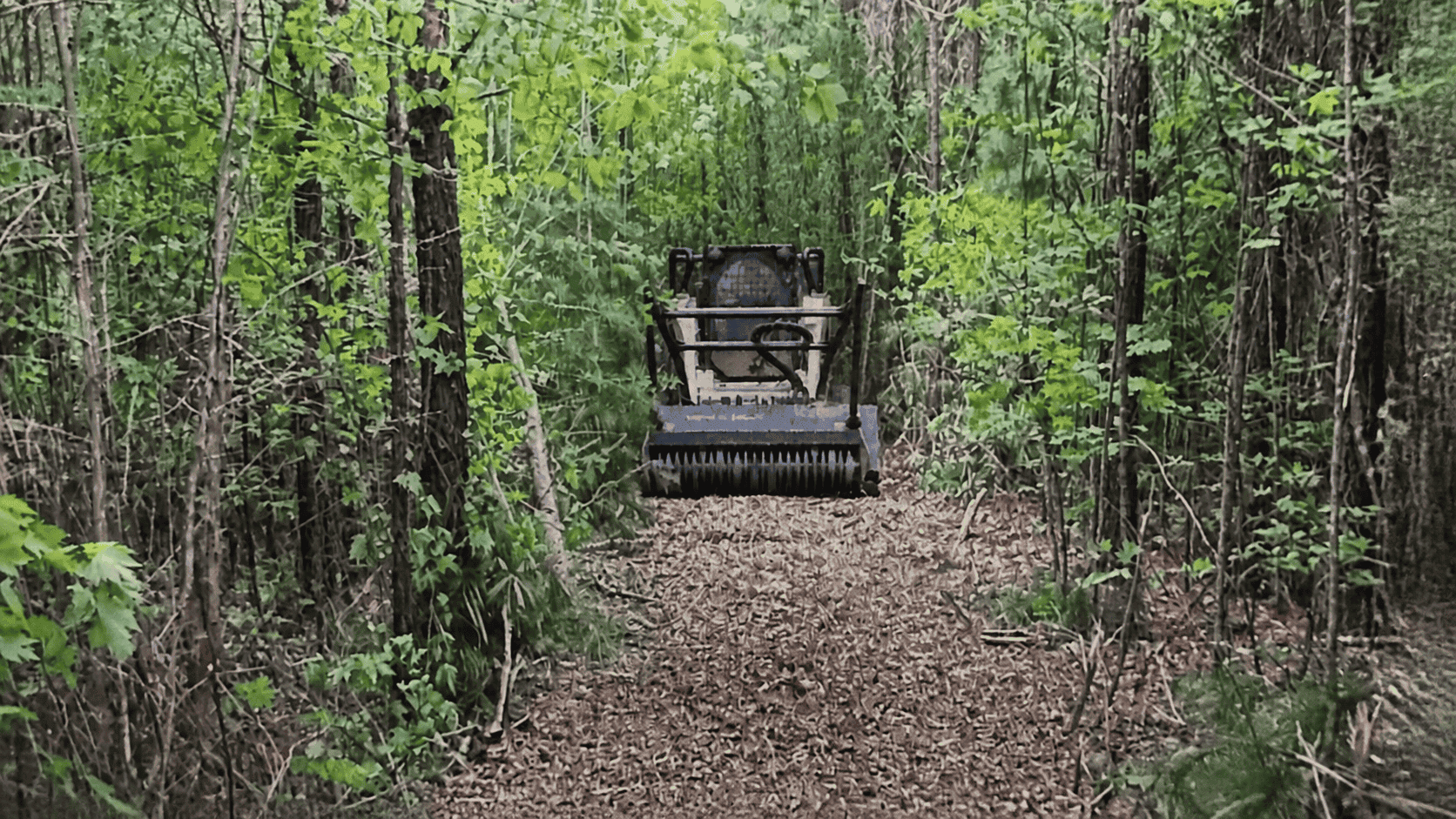 Forestry mulching head cutting a trail through dense woods in Hampton Roads