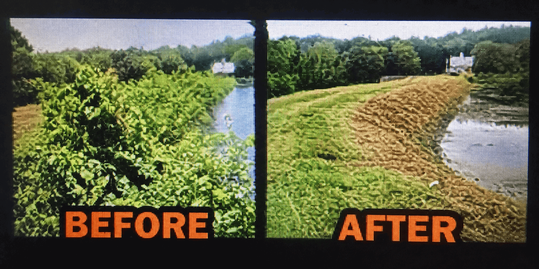 Before and after photo of an overgrown pond bank cleared and regraded in Hampton Roads